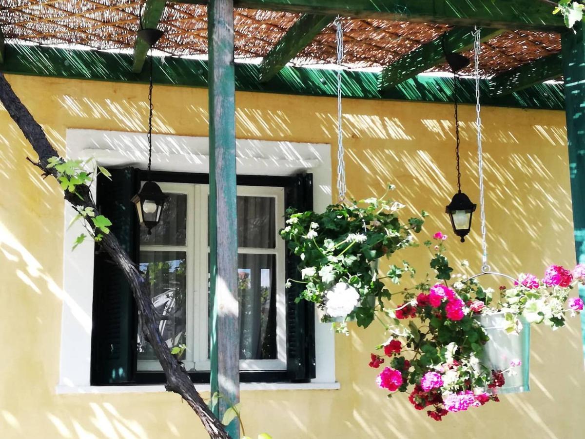 Garden House In Corfu Villa Corfu  Exteriör bild
