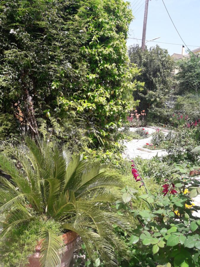 Garden House In Corfu Villa Corfu  Exteriör bild